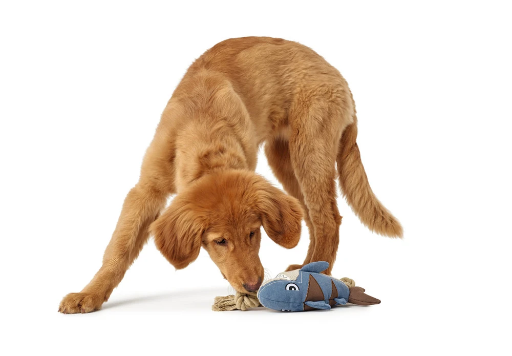 Hunter Hundespielzeug Canvas Sansibar Rantum 4 Hunter Hundespielzeug Canvas Sansibar Rantum – Bild 4