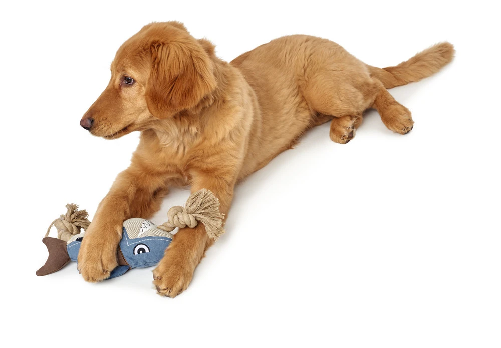 Hunter Hundespielzeug Canvas Sansibar Rantum 3 Hunter Hundespielzeug Canvas Sansibar Rantum – Bild 3