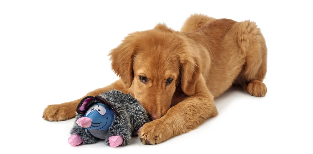 Hunter Hundespielzeug Broome 2 Hunter Hundespielzeug Broome – Bild 2