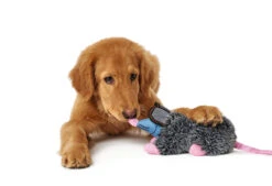 Hunter Hundespielzeug Broome 7 Hunter Hundespielzeug Broome -Hunter 12474scr a78817064d04da4