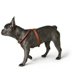 Hunter Geschirr Round & Soft Luxus Elk Petit, Leder -Hunter 43542 001 image 20cog