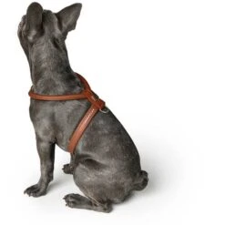 Hunter Geschirr Round & Soft Luxus Elk Petit, Leder -Hunter 43542 002 image 20cog