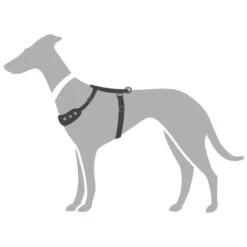 Hunter Autosicherheitsgeschirr Easy Comfort, Nylon 6 Hunter Autosicherheitsgeschirr Easy Comfort, Nylon -Hunter 43847 001 grafik 20