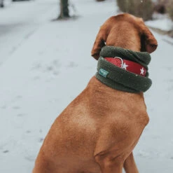 Hunter Halsband Magic Star, Leder -Hunter 60501 005 live 19