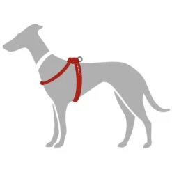 Hunter Geschirr Round & Soft Luxus Elk Petit, Leder -Hunter 61469 001 grafik 20rot