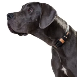 Hunter Halsband Bombay, Leder -Hunter 61879 image 001 15br