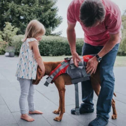 Hunter Schwimmweste Moss, Reflektierend 8 Hunter Schwimmweste Moss, Reflektierend -Hunter 62444 022 live 17