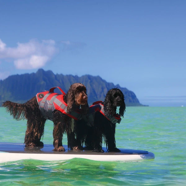 Hunter Schwimmweste Moss, Reflektierend 6 Hunter Schwimmweste Moss, Reflektierend – Bild 6