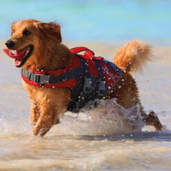 Hunter Schwimmweste Moss, Reflektierend 9 Hunter Schwimmweste Moss, Reflektierend -Hunter 62444 live 15 006