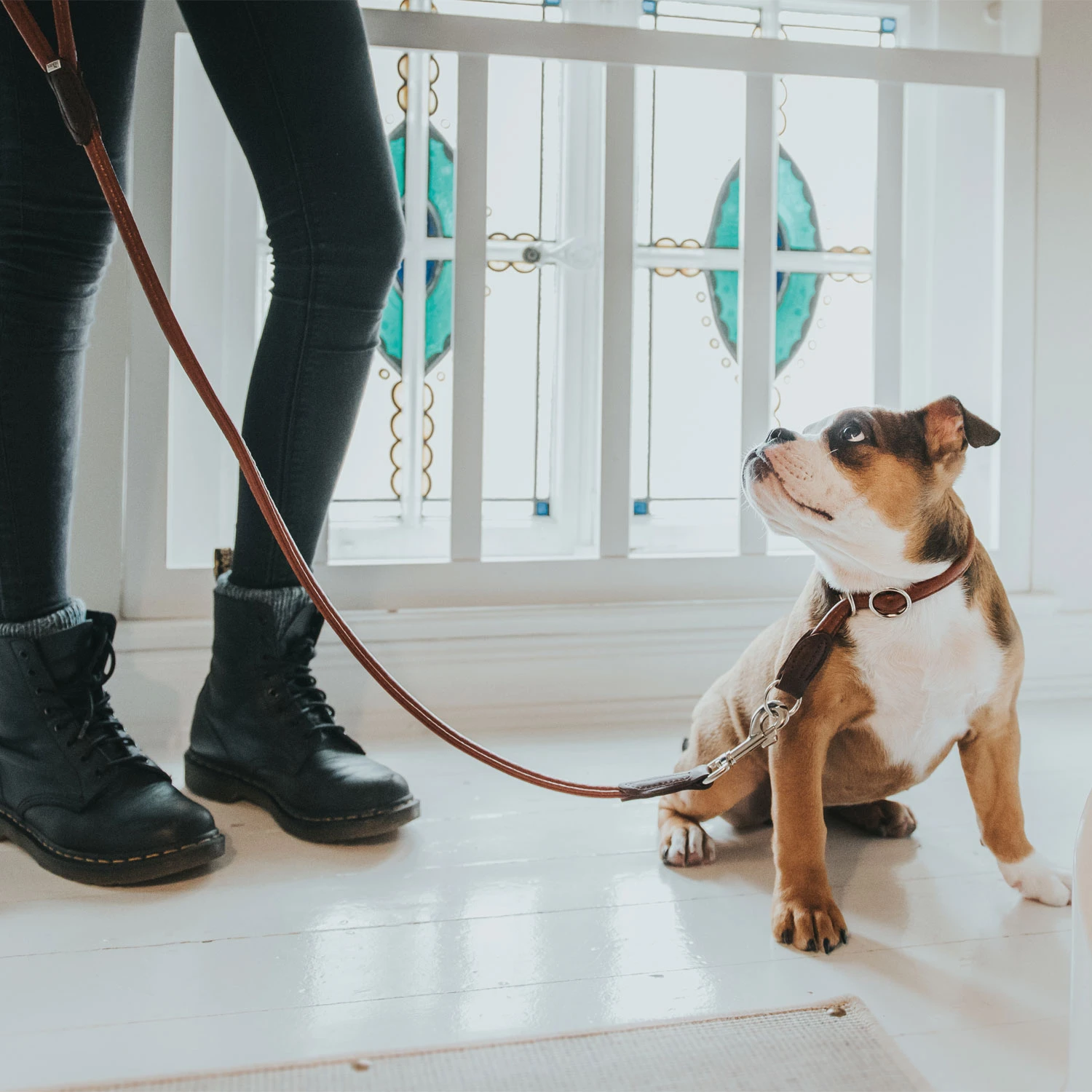 Hunter Führleine Round & Soft Cody, Bisonleder 3 Hunter Führleine Round & Soft Cody, Bisonleder – Bild 3