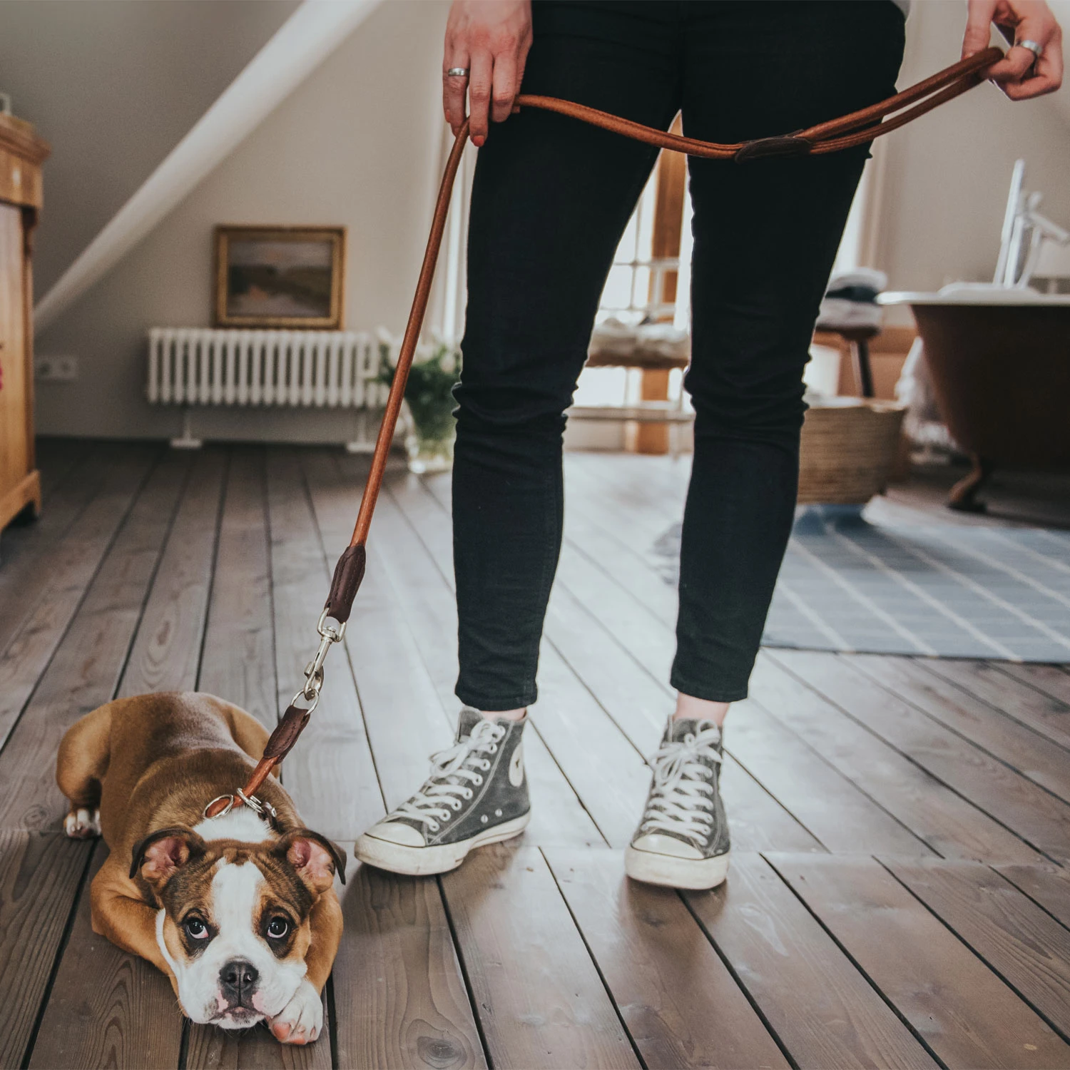 Hunter Führleine Round & Soft Cody, Bisonleder 2 Hunter Führleine Round & Soft Cody, Bisonleder – Bild 2