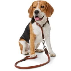 Hunter Dressurhalsung Round & Soft Cody, Bisonleder -Hunter 65239 002 image 17