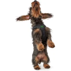 Hunter Geschirr Hilo Soft Comfort, Mesh 9 Hunter Geschirr Hilo Soft Comfort, Mesh -Hunter 66702 002 image 18sil