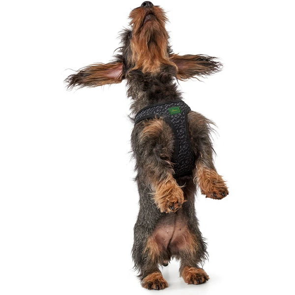 Hunter Geschirr Hilo Soft Comfort, Mesh 4 Hunter Geschirr Hilo Soft Comfort, Mesh – Bild 4