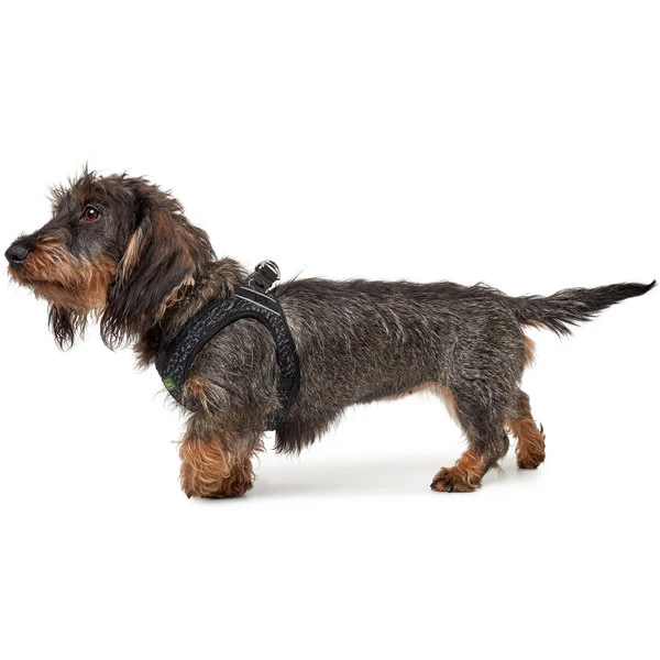 Hunter Geschirr Hilo Soft Comfort, Mesh 5 Hunter Geschirr Hilo Soft Comfort, Mesh – Bild 5