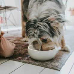 Hunter Keramik Napf Lund -Hunter 67433 008 live 19 28329