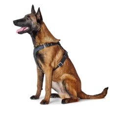 Hunter Y-Geschirr Aalborg, Softvollrindleder -Hunter HUNTER 15104 67324 002 image 19 lpr