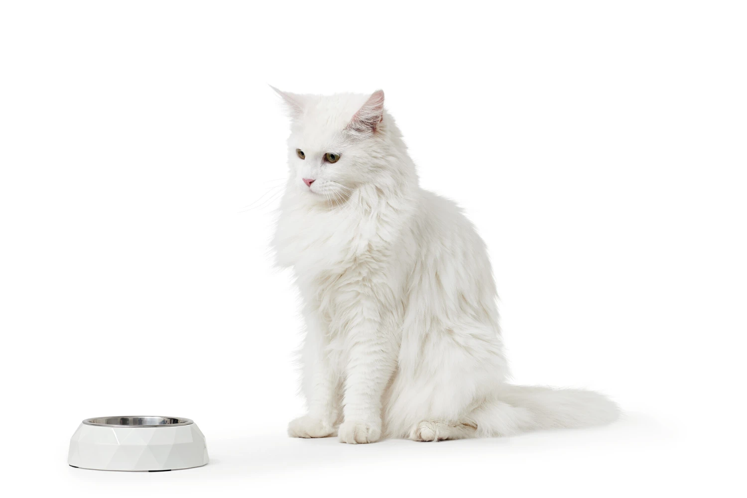 Hunter Melamin-Napf Kimberley Schwarz 3 Hunter Melamin-Napf Kimberley Schwarz – Bild 3