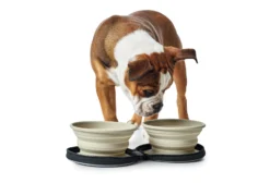 Hunter Silikon Reisenapf Mit Tasche List 750 Ml -Hunter HUNTER 9649 65137 001 image 17 lpr