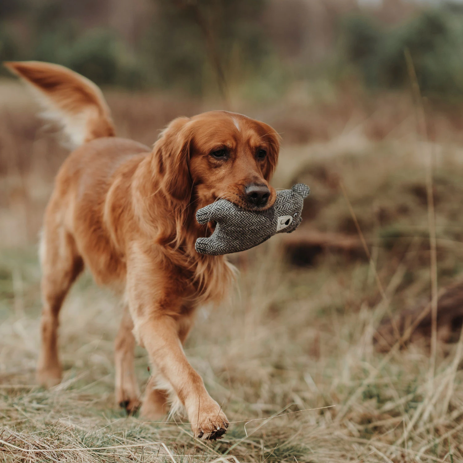 Hunter Hundespielzeug Billund Bär 23cm 2 Hunter Hundespielzeug Billund Bär 23cm – Bild 2