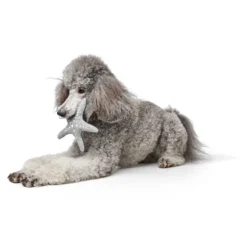 Hunter Hundespielzeug Plüsch Skagen Seestern M Grau/blau -Hunter e HOicLV 69000 001 image 21