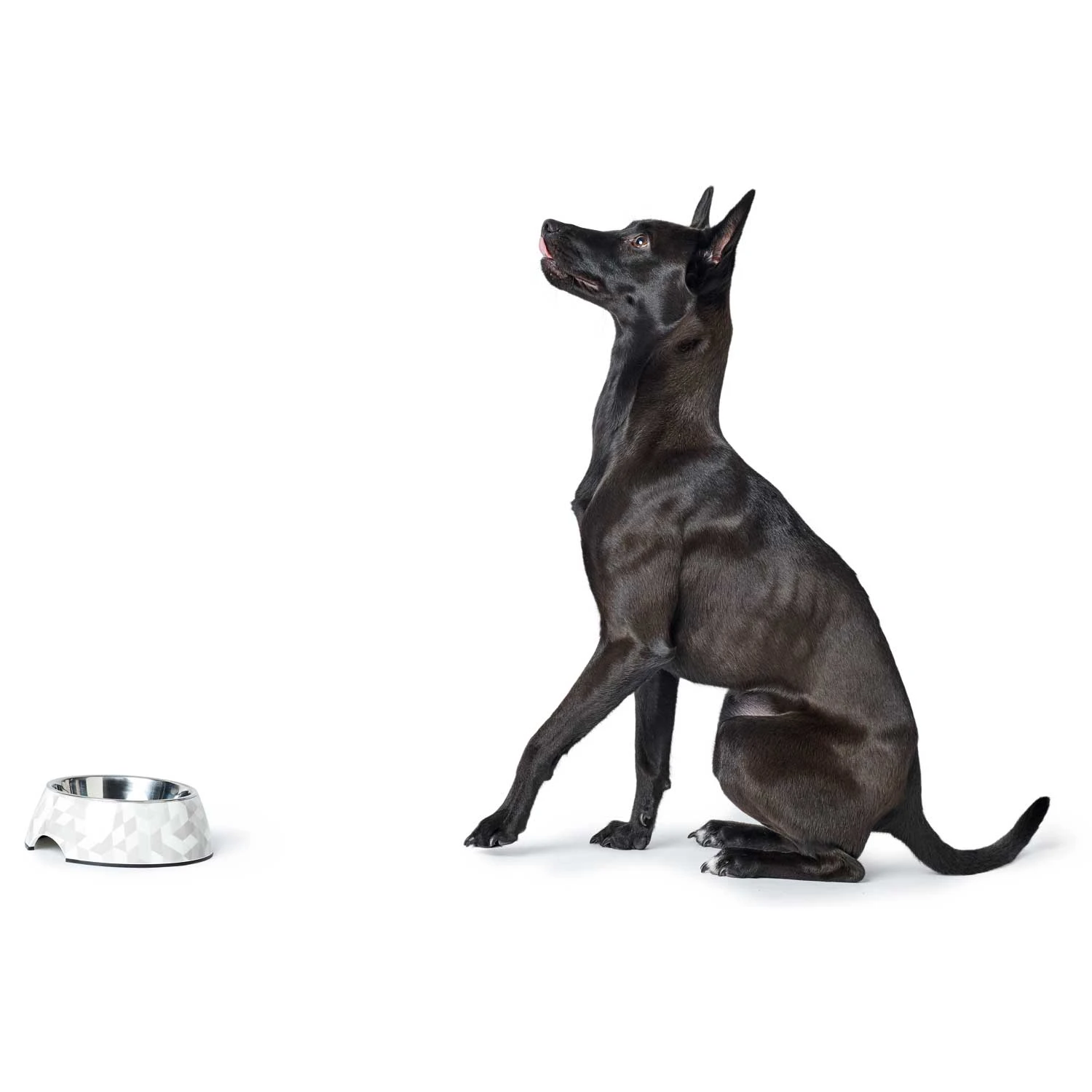 Hunter Melamin Napf Baku Weiß/grau 4 Hunter Melamin Napf Baku Weiß/grau – Bild 4