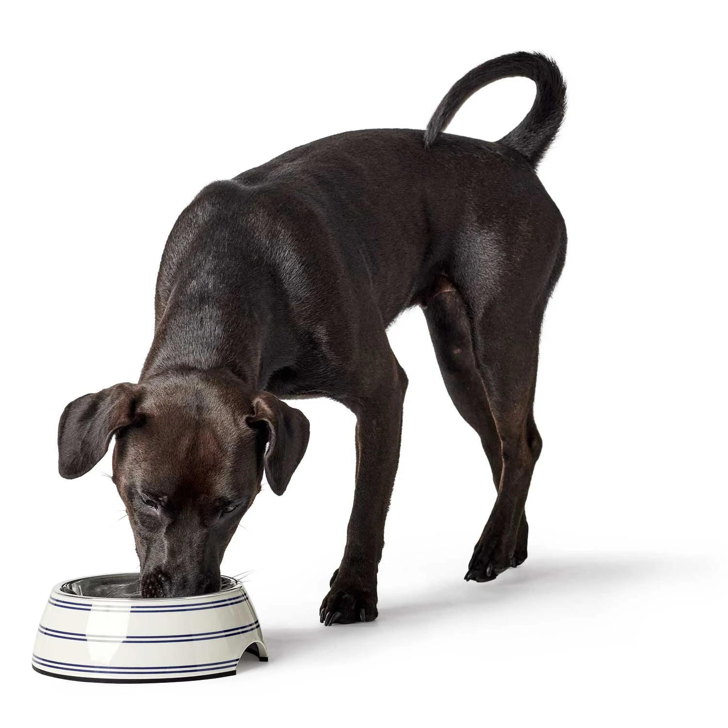 Hunter Melamin-Napf Silda 4 Hunter Melamin-Napf Silda – Bild 4