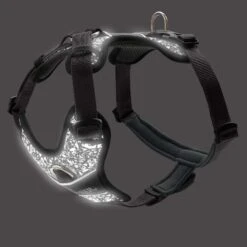 Hunter Geschirr Divo Reflect (Nylon/Polyester) -Hunter e nVU7ed 68958 005 20