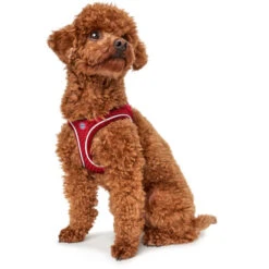 Hunter Geschirr Hilo Comfort FC Bayern München 7 Hunter Geschirr Hilo Comfort FC Bayern München -Hunter hilo20fc204