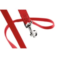 Hunter Führleine London Länge 1,00 M Breite 2,0 Cm, Rot 5 Hunter Führleine London Länge 1,00 M Breite 2,0 Cm, Rot -Hunter hunter fuhrleine london lange 1 00 m breite 2 0 cm rot 2