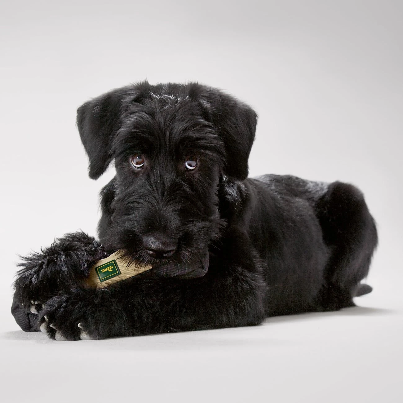 Hunter Futterbeutel Trainer Dummy M: 20 Cm, Schwarz/beige 2 Hunter Futterbeutel Trainer Dummy M: 20 Cm, Schwarz/beige – Bild 2