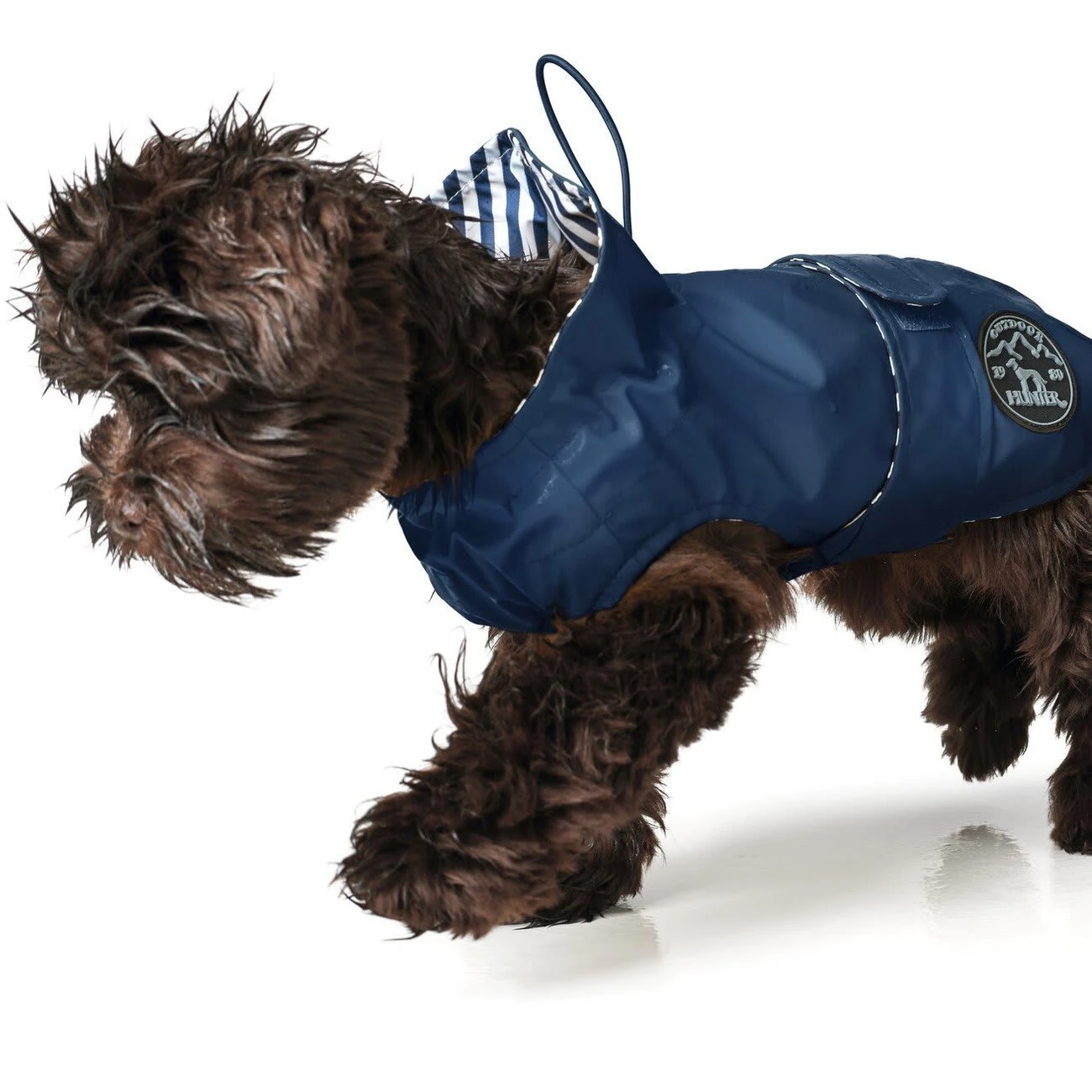 Hunter Hunde Regenmantel Milford XS: Rücken 40 Cm, Bauch 46-60 Cm, Blau 4 Hunter Hunde Regenmantel Milford XS: Rücken 40 Cm, Bauch 46-60 Cm, Blau – Bild 4