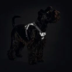 Hunter Hundegeschirr Divo Reflect Gr. S: Hals 22-38 Cm, Bauch 45-56 Cm, Schwarz/grau -Hunter hunter hundegeschirr divo reflect gr s hals 22 38 cm bauch 45 56 cm schwarz grau 6