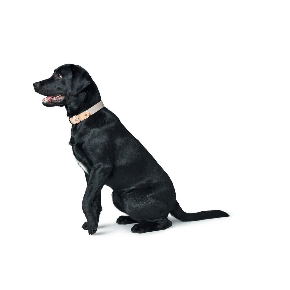 Hunter Hundehalsband Trino M, 50 Cm 8 Hunter Hundehalsband Trino M, 50 Cm – Bild 8