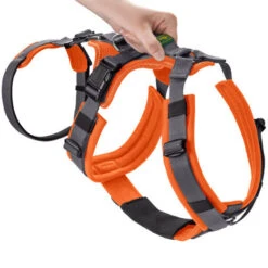 Hunter Sicherheitsgeschirr Maldon Gr. M, Hals 50-84 Cm, Bauch 53-71 Cm, Breite 2,5 Cm, 15 Hunter Sicherheitsgeschirr Maldon Gr. M, Hals 50-84 Cm, Bauch 53-71 Cm, Breite 2,5 Cm, -Hunter hunter sicherheitsgeschirr maldon gr m hals 50 84 cm bauch 53 71 cm breite 2 5 cm 16