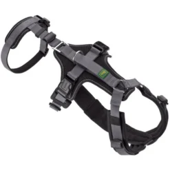 Hunter Sicherheitsgeschirr Maldon Gr. S-M, Hals 46-82 Cm, Bauch 47-69 Cm, Breite 2 Cm, -Hunter hunter sicherheitsgeschirr maldon gr s m hals 46 82 cm bauch 47 69 cm breite 2 cm 3