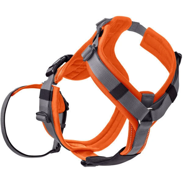 Hunter Sicherheitsgeschirr Maldon Gr. XS, Hals 31-49 Cm, Bauch 34-49 Cm, Breite 1,5 Cm, 5 Hunter Sicherheitsgeschirr Maldon Gr. XS, Hals 31-49 Cm, Bauch 34-49 Cm, Breite 1,5 Cm, – Bild 5