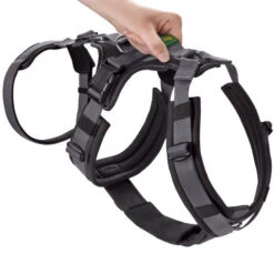 Hunter Sicherheitsgeschirr Maldon Gr. XS-S, Hals 38-62 Cm, Bauch 37-51 Cm, Breite 2 Cm, -Hunter hunter sicherheitsgeschirr maldon gr xs s hals 38 62 cm bauch 37 51 cm breite 2 cm 12