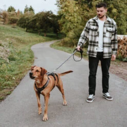 Hunter Sicherheitsgeschirr Maldon Gr. XS-S, Hals 38-62 Cm, Bauch 37-51 Cm, Breite 2 Cm, -Hunter hunter sicherheitsgeschirr maldon gr xs s hals 38 62 cm bauch 37 51 cm breite 2 cm 17