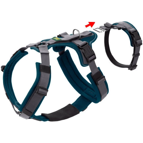 Hunter Sicherheitsgeschirr Maldon Gr. XS-S, Hals 38-62 Cm, Bauch 37-51 Cm, Breite 2 Cm, 8 Hunter Sicherheitsgeschirr Maldon Gr. XS-S, Hals 38-62 Cm, Bauch 37-51 Cm, Breite 2 Cm, – Bild 8