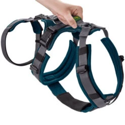 Hunter Sicherheitsgeschirr Maldon Gr. XS-S, Hals 38-62 Cm, Bauch 37-51 Cm, Breite 2 Cm, 19 Hunter Sicherheitsgeschirr Maldon Gr. XS-S, Hals 38-62 Cm, Bauch 37-51 Cm, Breite 2 Cm, -Hunter hunter sicherheitsgeschirr maldon gr xs s hals 38 62 cm bauch 37 51 cm breite 2 cm 9