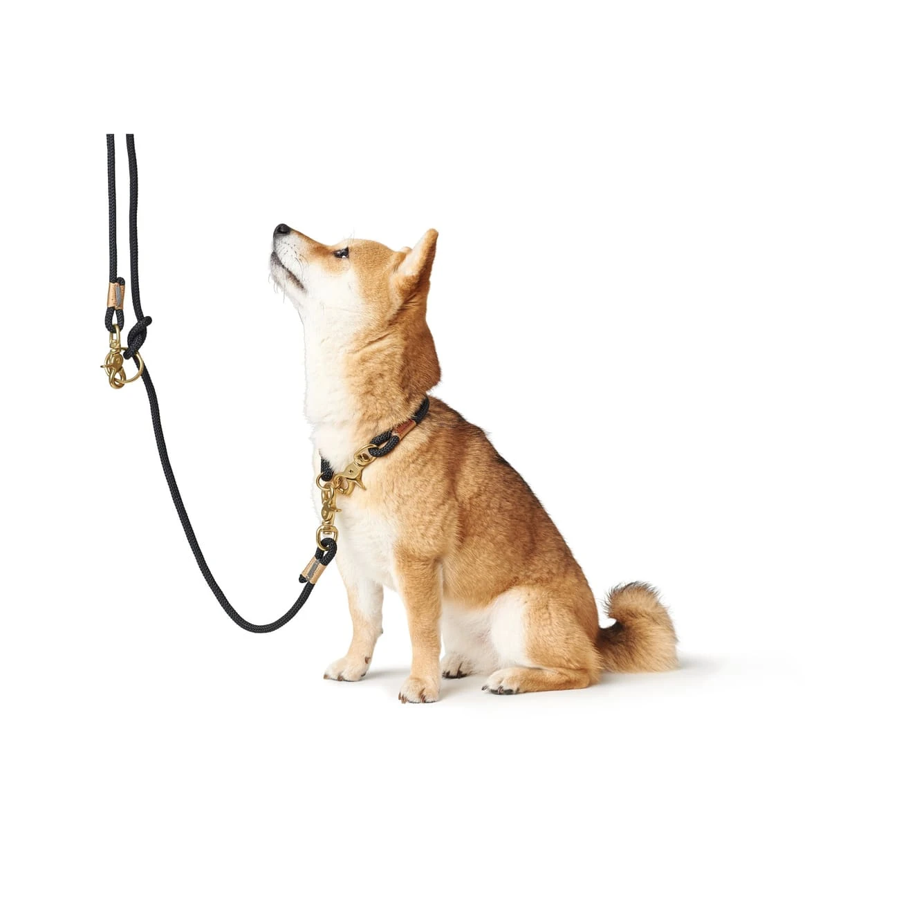 Hunter Verstellbare Führleine Oss 10/200, Schwarz 2 Hunter Verstellbare Führleine Oss 10/200, Schwarz – Bild 2