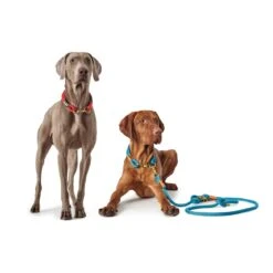 Hunter Verstellbare Führleine Oss 8/200 Tau, Petrol -Hunter hunter verstellbare fuhrleine oss 8 200 tau petrol 3