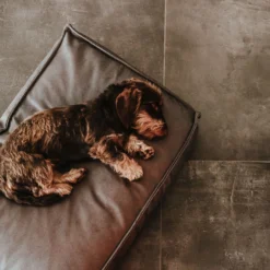 Hunter Kissen Orthopädisch Merida Anthrazit -Hunter hunter meridaanthrazit3