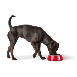 Hunter Melamin-Napf FC Bayern München -Hunter napf20fc203