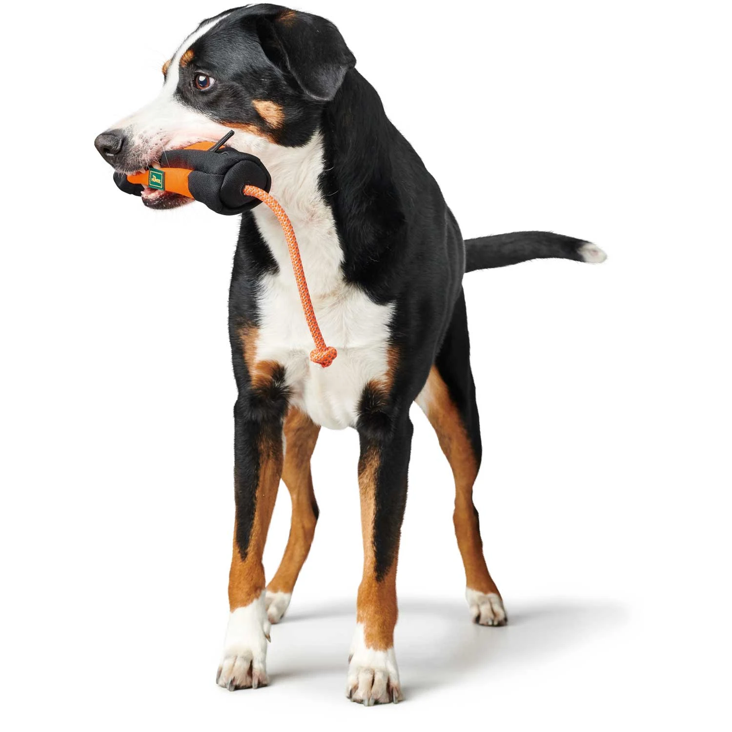 Hunter Snackdummy Trainer Mit Seil Orange/schwarz 2 Hunter Snackdummy Trainer Mit Seil Orange/schwarz – Bild 2