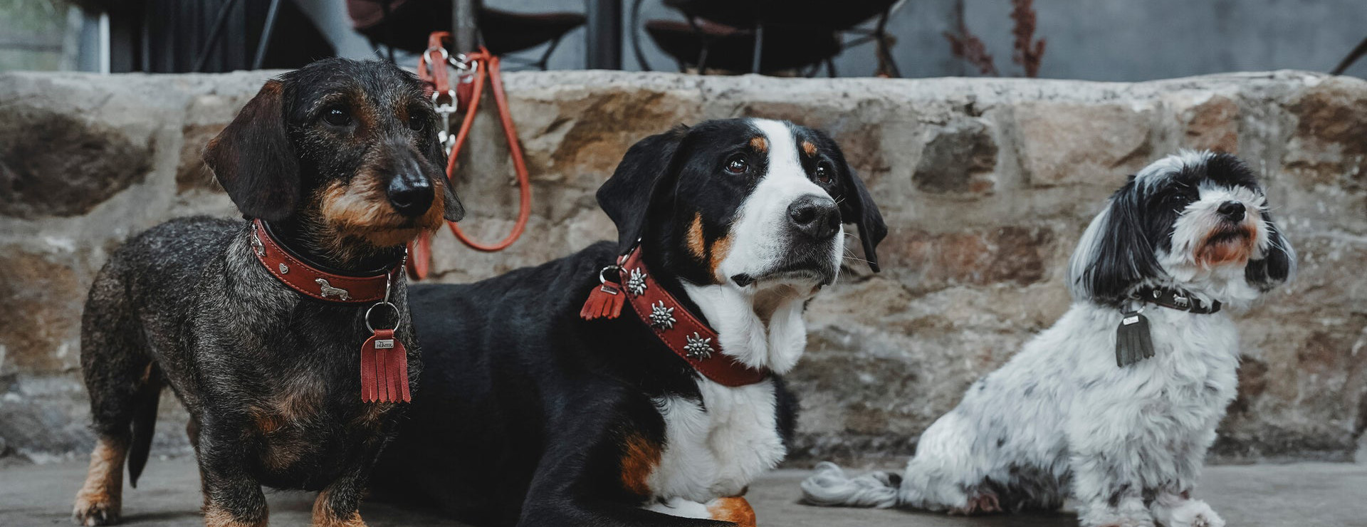 Hunter 4 Hunter -Hunter HUNTER 24937 69371 003 live 23 lpr